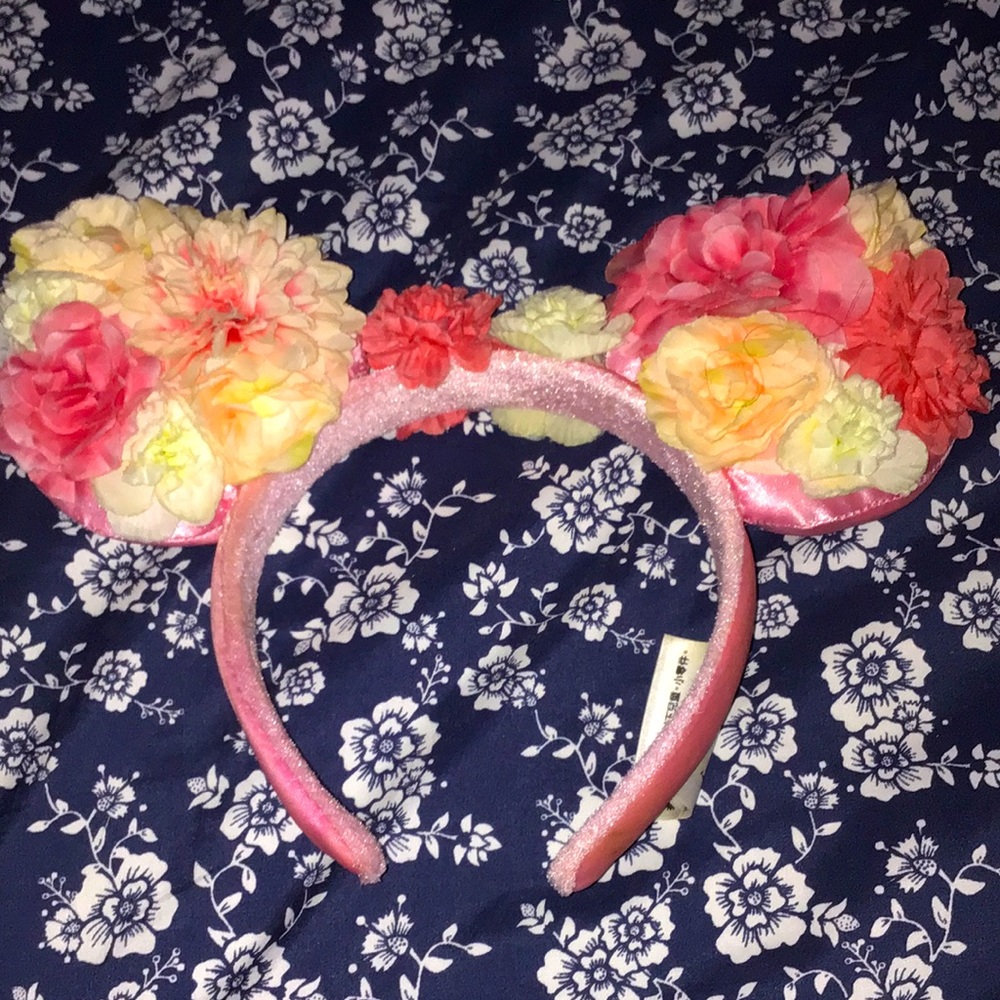 Disneyland ears